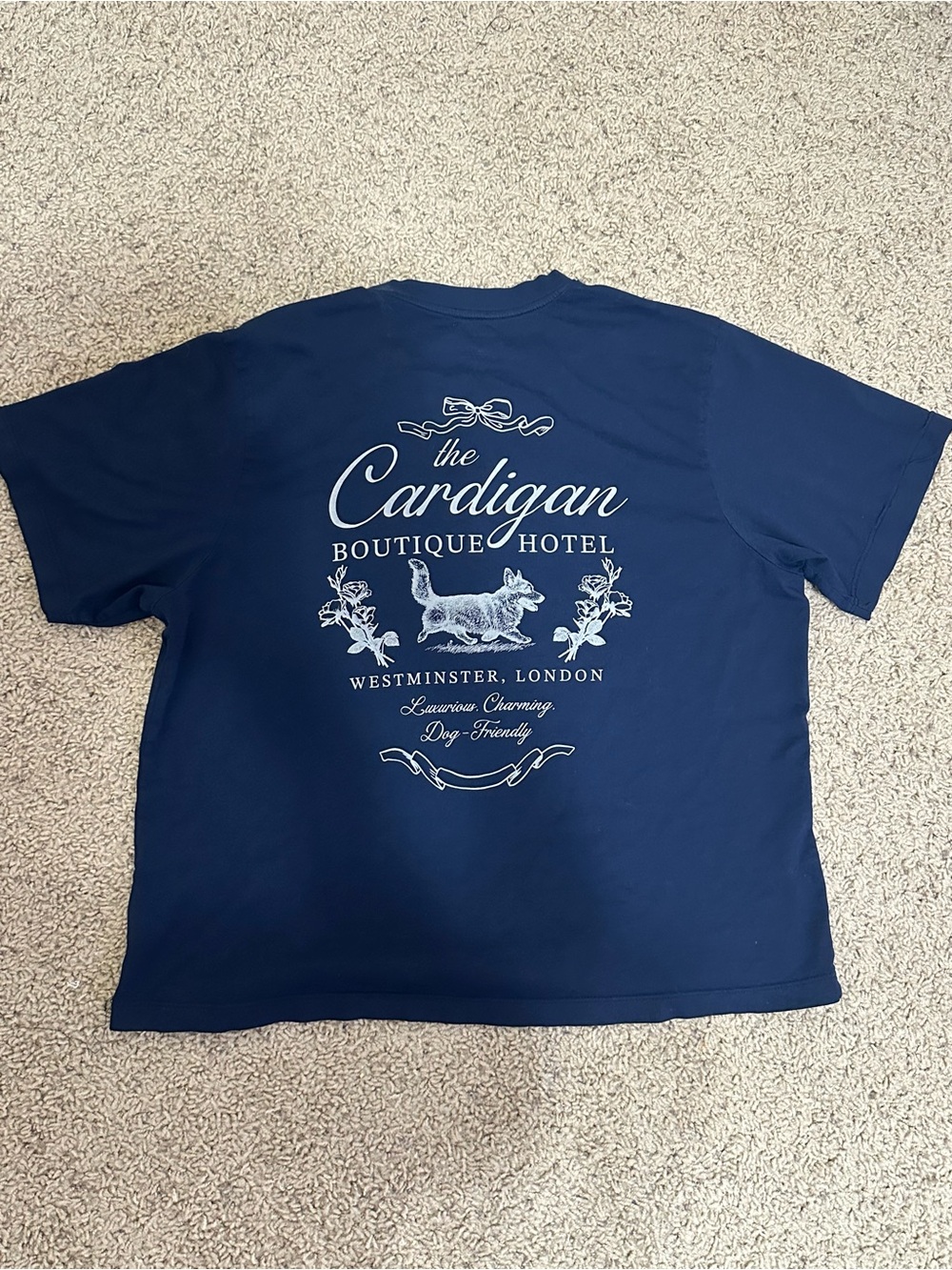 American Eagle Outfitters Navy Graphic Tee - The Cardigan Boutique Hotel